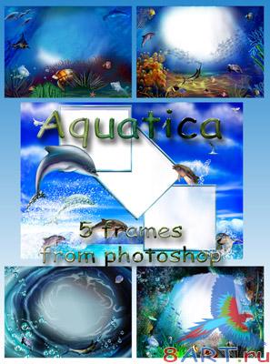 ������� ����� � ����� ������� Aquatica
