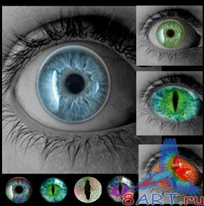 ������� � ����� ����� ����