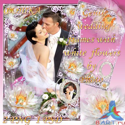 ������ ��������� ������� �� ������ �������