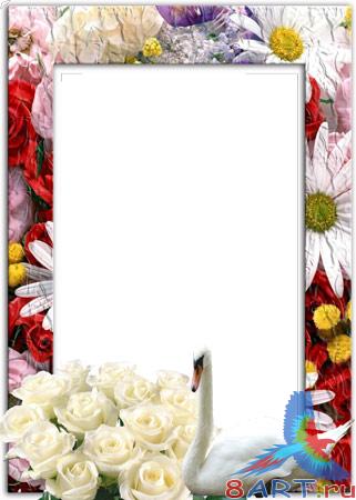 ����� - ����� �������