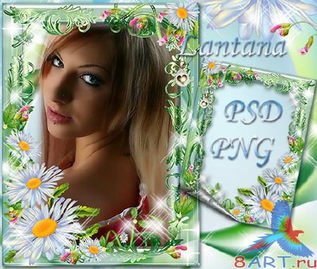 ����� � ������ ���� ���� - �� ���� ������ ������� �����