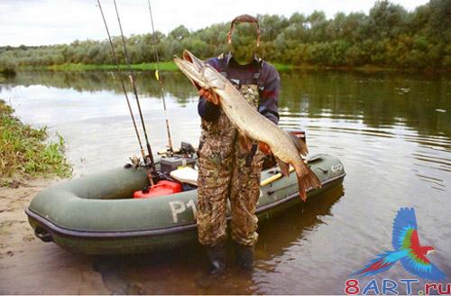 Мужской привычка – удачная щучья рыбалка Мужской обычай – удачная щучья рыбалка