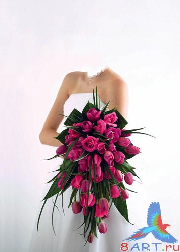 ������ ����� �������� - ������� �� ������� ���������