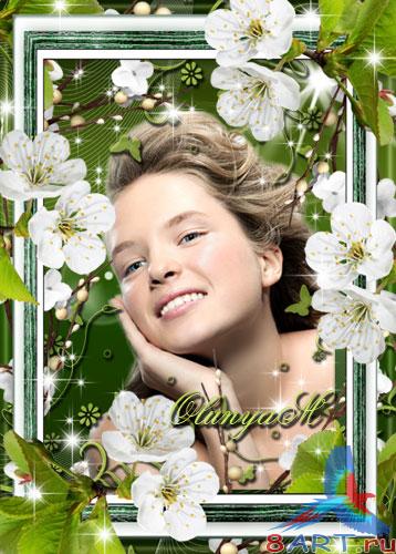 ������� ��������� - ����� ������