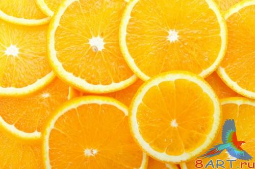 SuperMacro Wallpapers