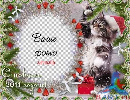 ������ ����� ����� ���� - ������� ������� � ������� ���������� �����