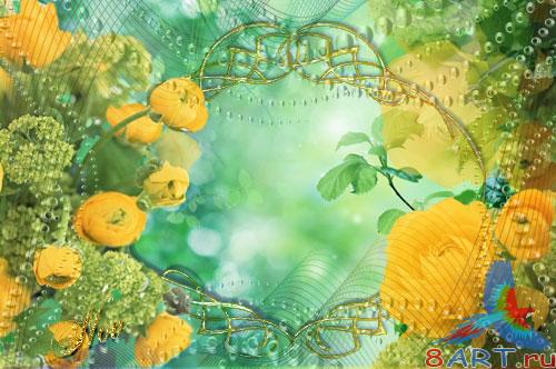 ������� ���� ���� - ����������� �����