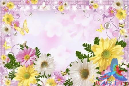 ������������� ����� � ������ ���� ��������