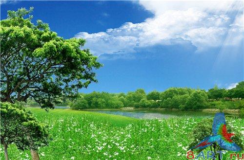 PSD - Summer Green Nature
