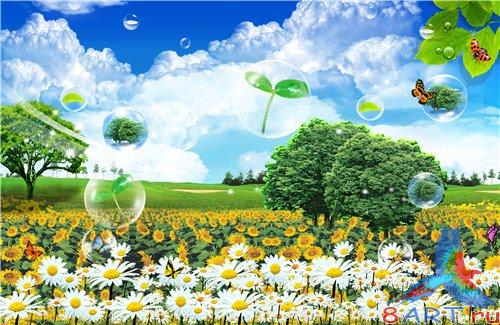 PSD - Field of daisies and yellow flowers