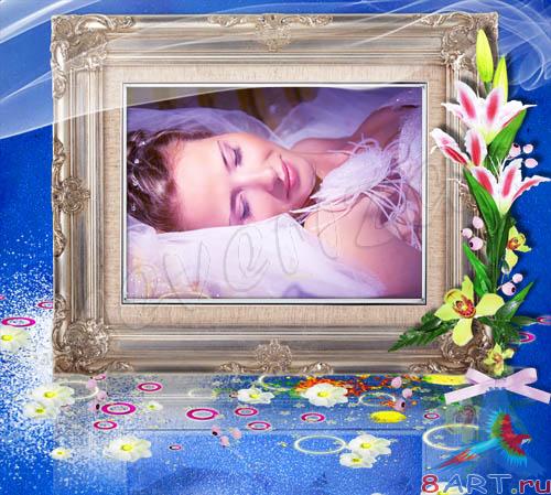 ����� �� ���� � ����� ������������