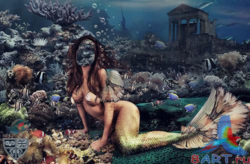 ������� �������� � ����� ����������� - �������