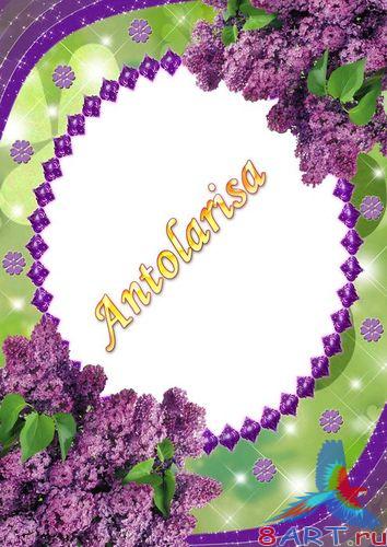 ������� � ���� - ������