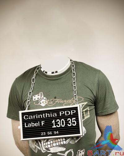 ������ ����������������