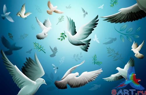 Sources - Birds in the sky