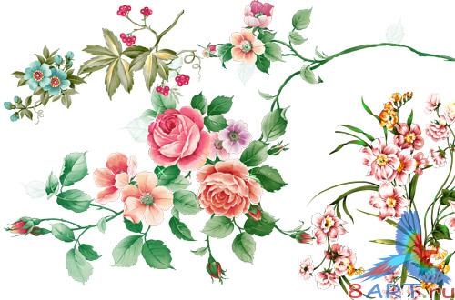 �lipArt-Elements flowers #3