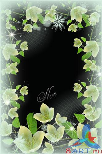 ������� � ���� - ������ ������