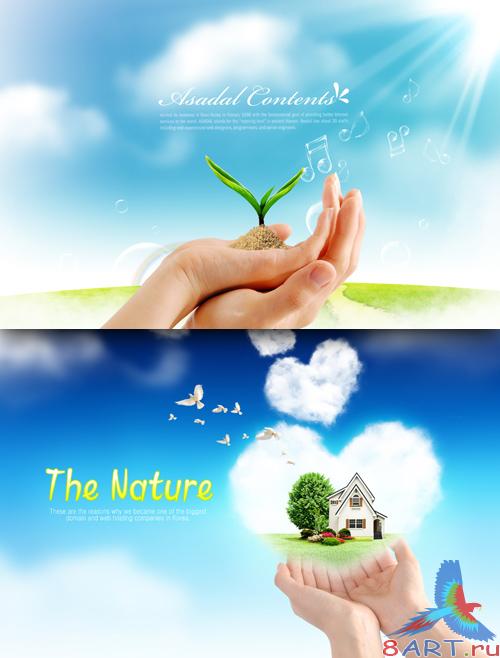 Sources - Nature in Your Hands