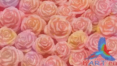 PSD Layered Pictures - Roses