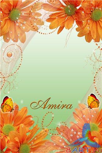 ����� �� ���� - ����� ������ ������� �������