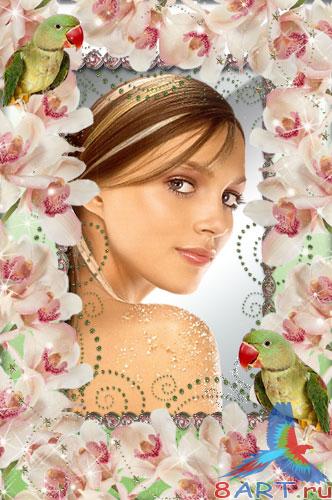 ������������� ������� � ����� ���� - ������� ������