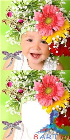 ������ ����� �������� - ������� ����