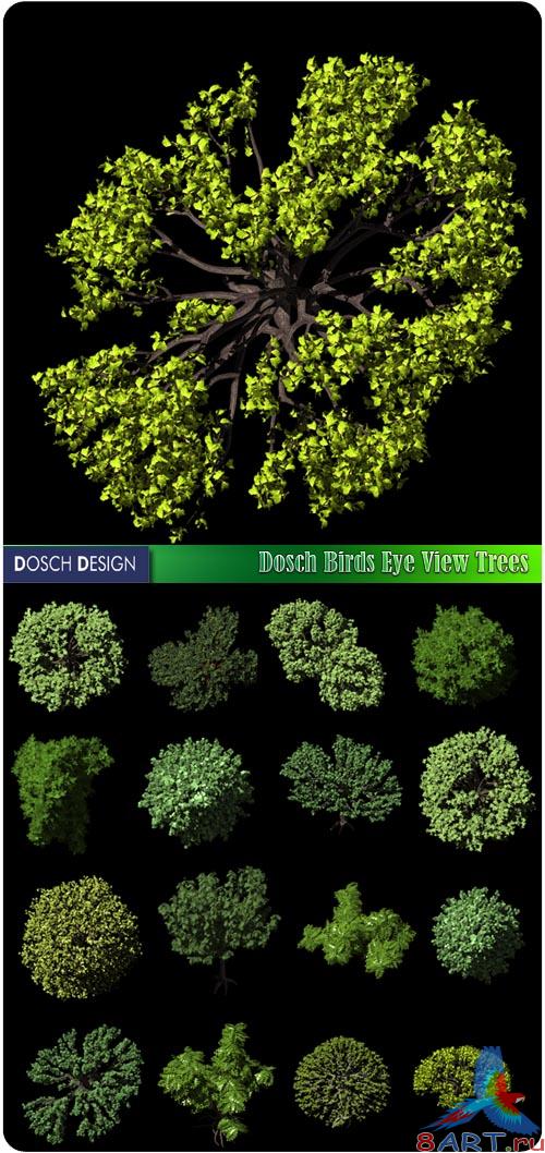 Dosch Birds Eye View Trees