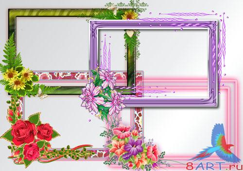 ������� � ����� ���������� �����  "��������� ������"