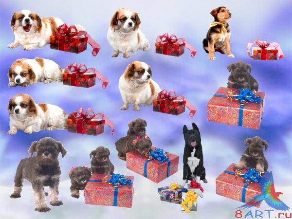 ������� ������� �� ���������