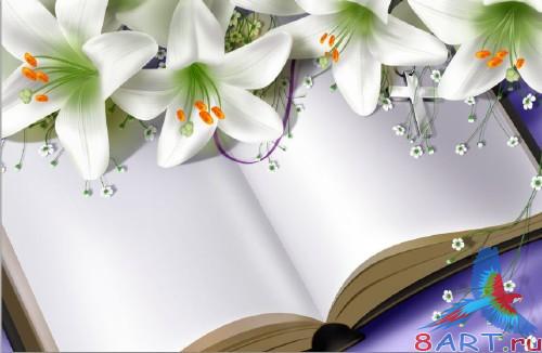books and lily psd