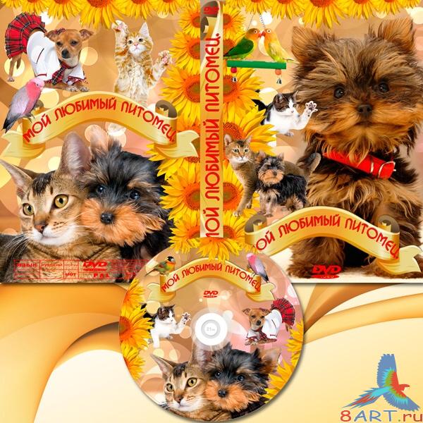 ������� DVD �� ������� ��� ���� - ����- ������� �������