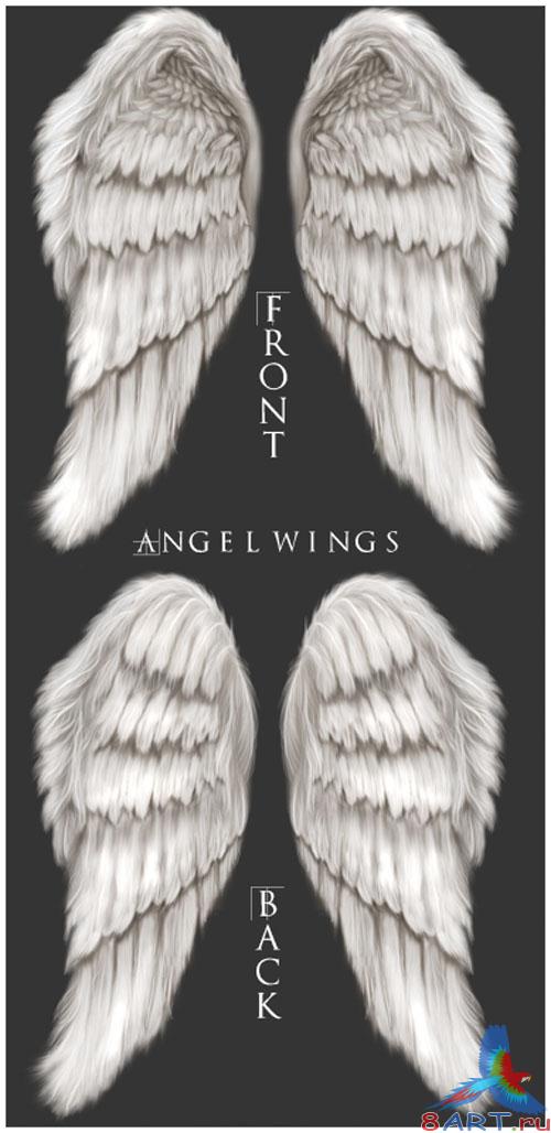 PSD Template - Wings