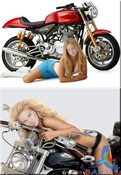 ������ ���� �������� - ����- ����