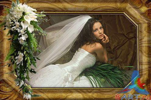 ����� ���� �������� �� ������� - ���� ������ ������� �������