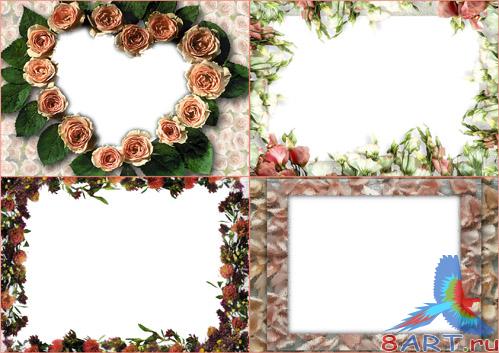 ����� �� ���������� � Graphic authority (����� 3)