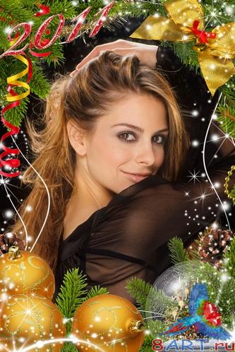 ������� ���� ���������� ���� -����� ��������