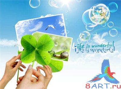 ������� ��� ���� "���� ���������"(life is fonderful)