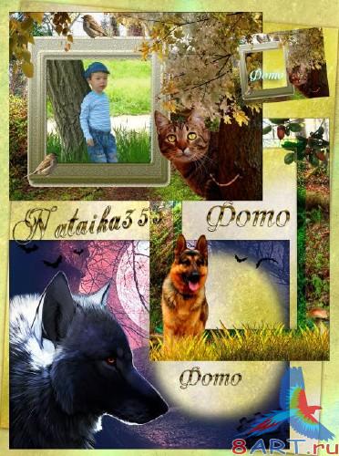 Рамки к начиная с животными - Хитрющий кот, овчарка равным образом волчица Рамки в видах почти животными - Хитрющий кот, овчарка равным образом волчица