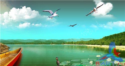 PSD - Board and Lilies in the Lake