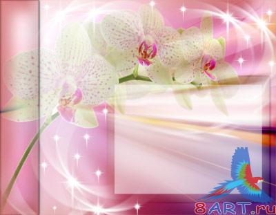 ������������� ������ (�.12)