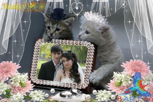 ��������� � ����� ���� ���������� ������� - �������� ����� ������ ������� �������