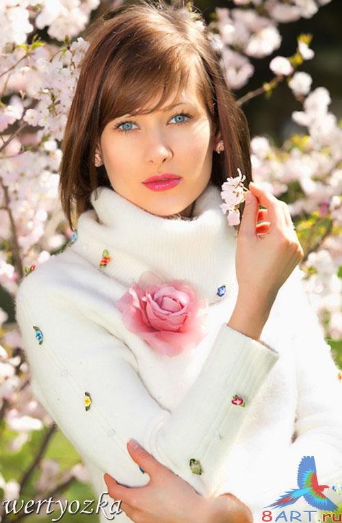 ������� ������ - �������� ��������� �����