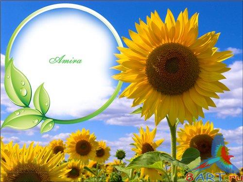 ����� � ����� ���� Photoshop - ����������