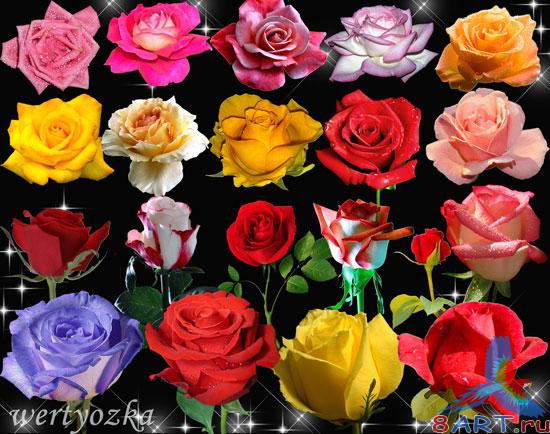 ������� - ���������� ����