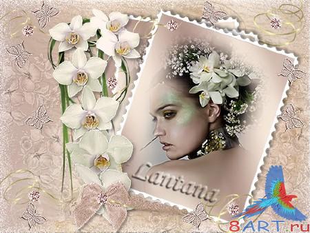 ����� � �������� - ������ �������