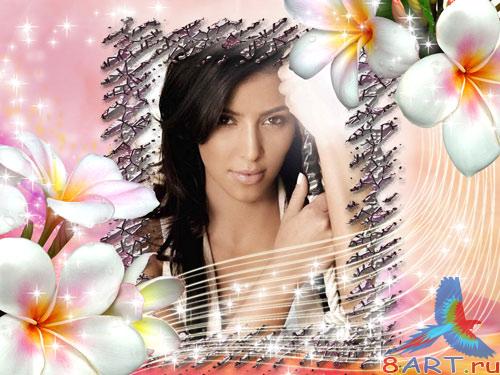 ����� � ������ ���� ���� - ����� �����