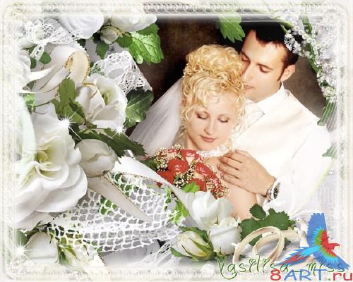 Красивая свадебная рамочка от белыми розами равным образом нежным фоном Красивая свадебная рамочка почти белыми розами да нежным фоном