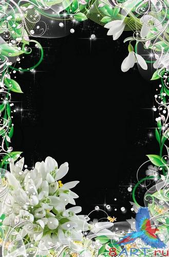 ������ ������� ����� ���������� ���� - �������� �����������