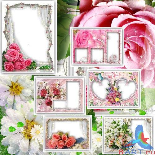 ����� �������� ����� � ����� ����������