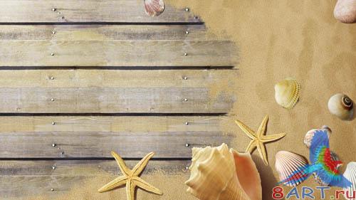 PSD - Sand and shells